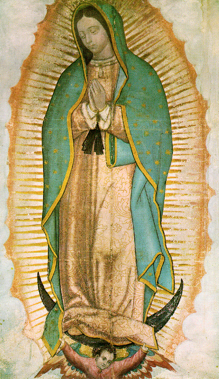 Our Lady of Guadalupe Image